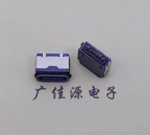 珠海usb type c6p防水立插母座两脚插带定位柱