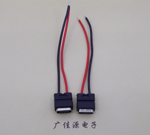 珠海type c2p防水母座焊线式带线注塑成型带接线端子/不带接线端子充电连接器