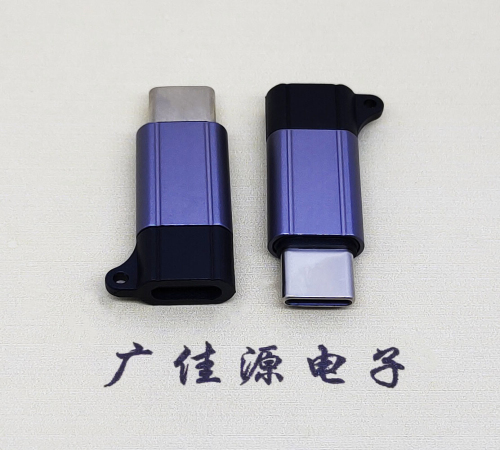 珠海Type-C母转Type-C公 USB3.1 PD100W快冲接口